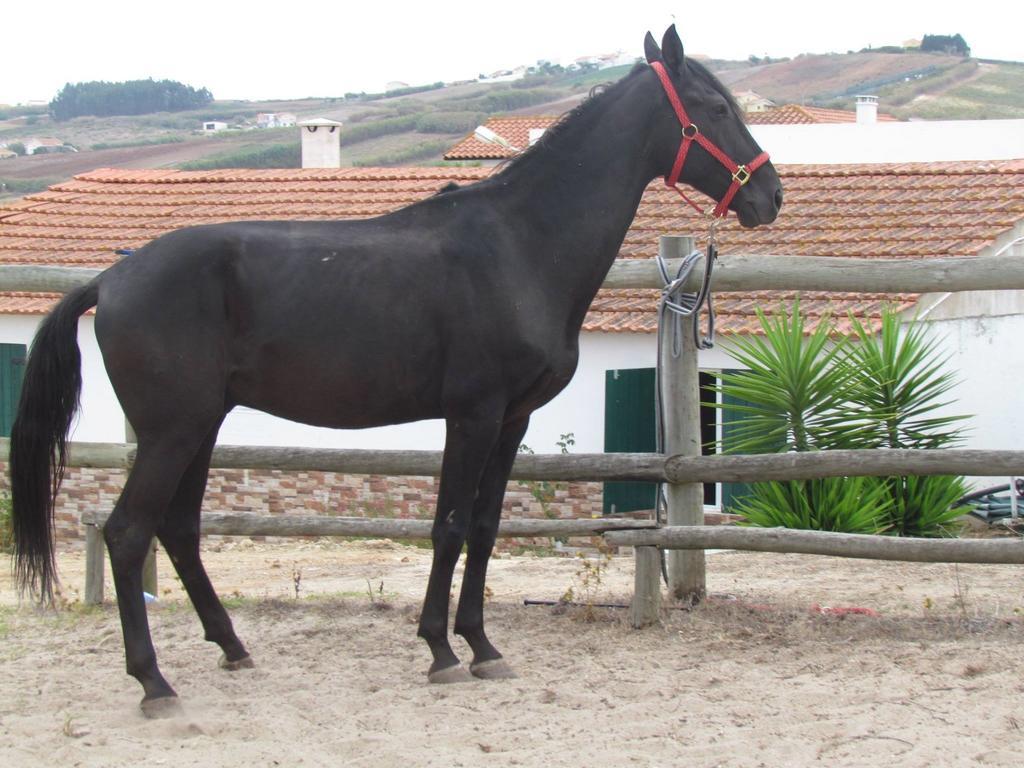Quinta Do Forno Maçeira Exterior foto
